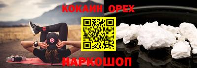 соль ск Можга