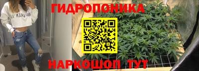 соль ск Можга