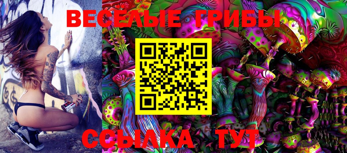 Псилоцибиновые грибы Cubensis Юрга